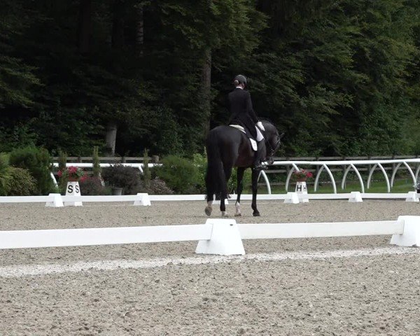 Reitturnier Grüningen 2024