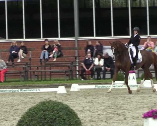 Reitturnier Langenfeld 2024
