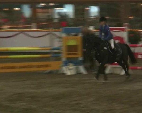 Hallen-Reit- und Springturnier des RV Suedlohn-Oeding für Ponys und Großpferde 2012
