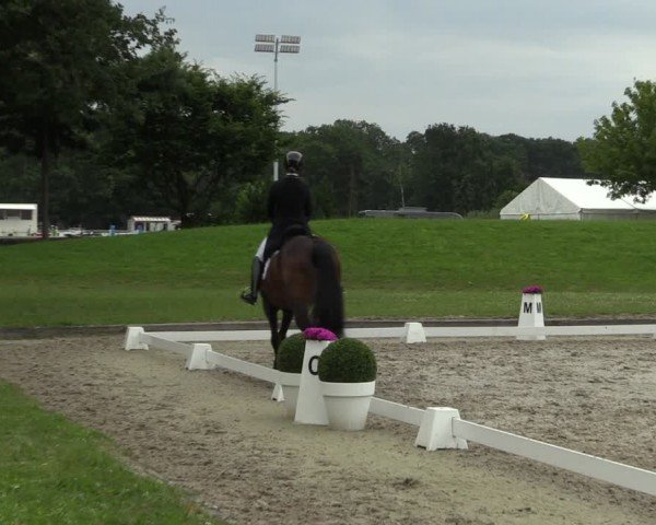 Reitturnier Langenfeld 2024