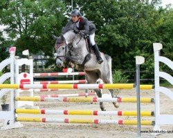 jumper Collin 103 (Oldenburg show jumper, 2007, from Clinton H)