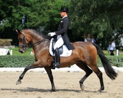 broodmare Arwen la Fee (Trakehner, 2004, from Tannenhof’s Solero TSF)