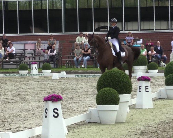 Reitturnier Langenfeld 2024