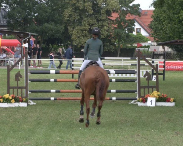 Reitturnier Schwittersdorf-Beesenstedt 2024