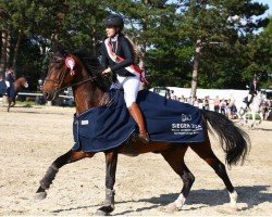 jumper Otto Amb (Belgian Warmblood, 2014, from Argon)