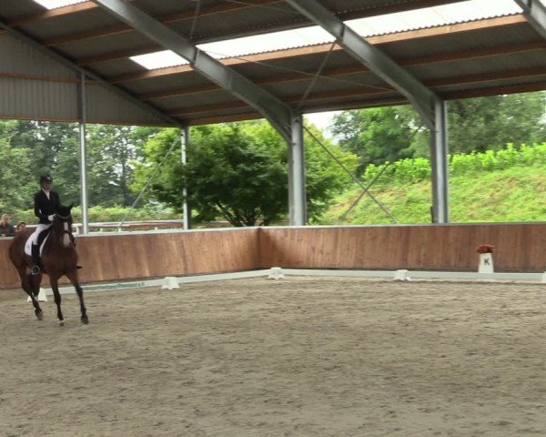 Reitturnier Langenfeld 2024