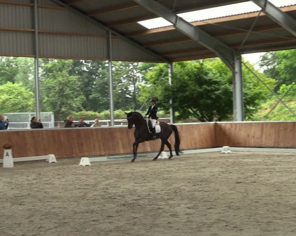 Reitturnier Langenfeld 2024