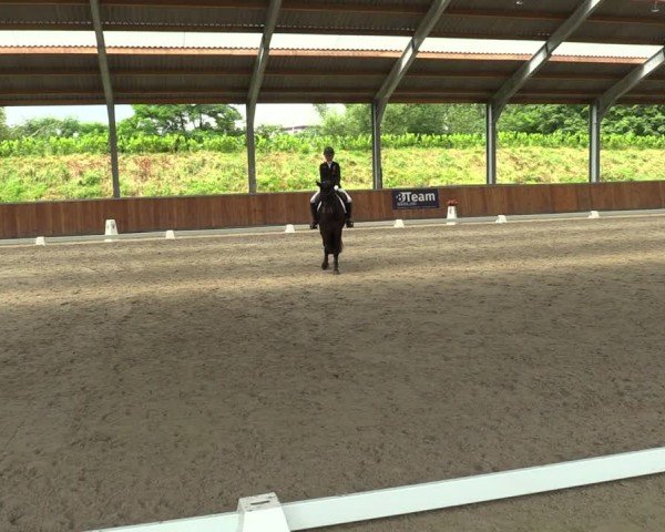 Reitturnier Langenfeld 2024
