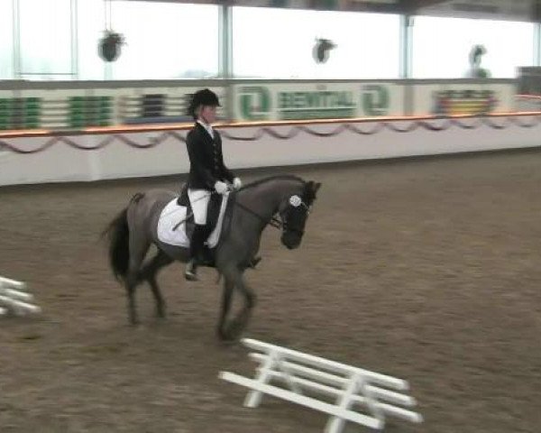 Hallen-Reit- und Springturnier des RV Suedlohn-Oeding für Ponys und Großpferde 2012