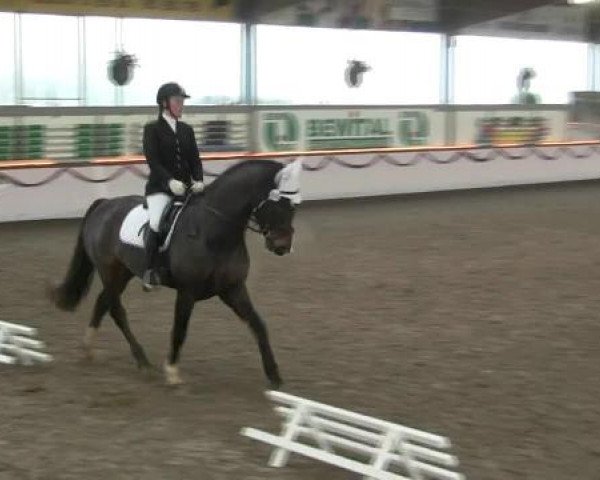 Hallen-Reit- und Springturnier des RV Suedlohn-Oeding für Ponys und Großpferde 2012
