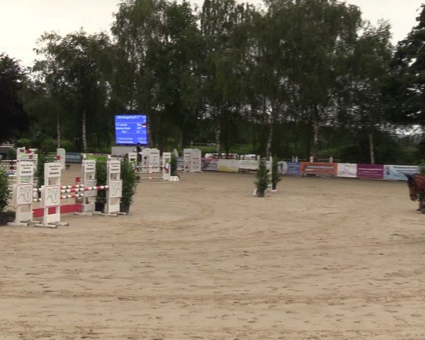 Reitturnier Schwerte-Gut Kückshausen 2024