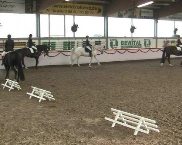 Hallen-Reit- und Springturnier des RV Suedlohn-Oeding für Ponys und Großpferde 2012