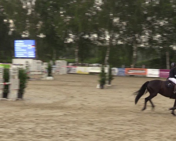 Reitturnier Schwerte-Gut Kückshausen 2024