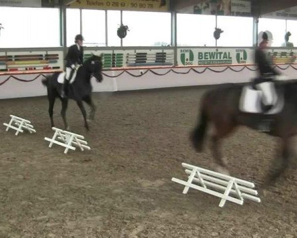 Hallen-Reit- und Springturnier des RV Suedlohn-Oeding für Ponys und Großpferde 2012