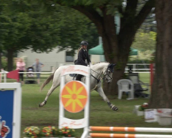 Reitturnier Schwittersdorf-Beesenstedt 2024