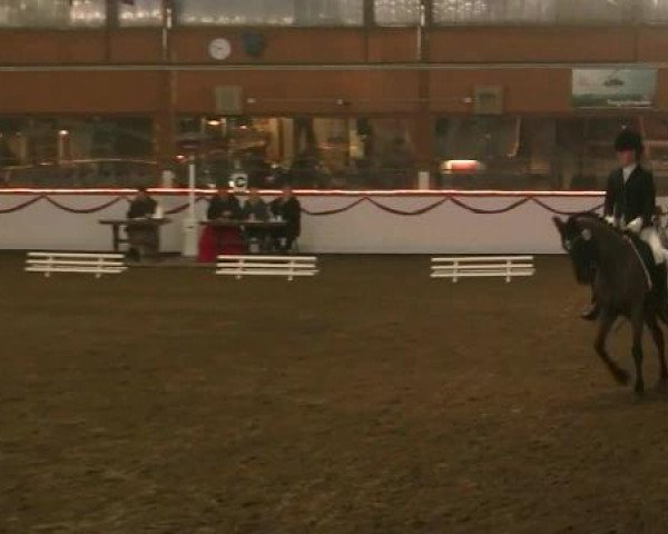 Hallen-Reit- und Springturnier des RV Suedlohn-Oeding für Ponys und Großpferde 2012