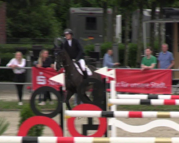 Reitturnier Langenfeld 2024