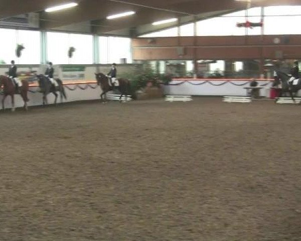 Hallen-Reit- und Springturnier des RV Suedlohn-Oeding für Ponys und Großpferde 2012
