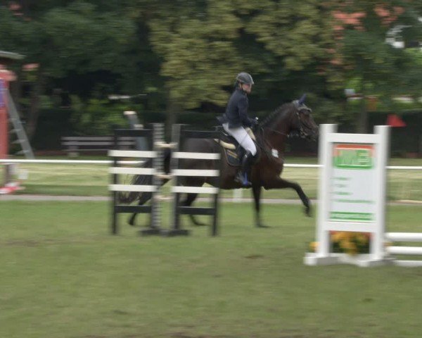 Reitturnier Schwittersdorf-Beesenstedt 2024