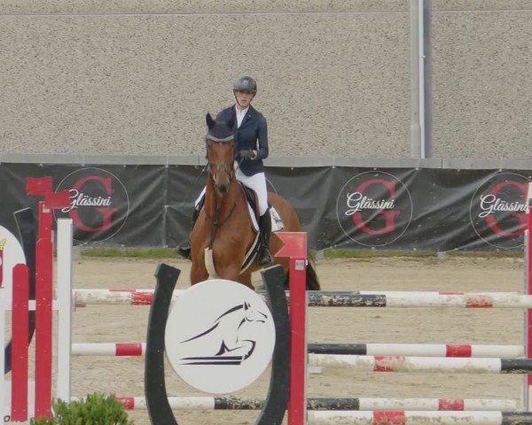 Reitturnier Kalenborn Hegehof 2024