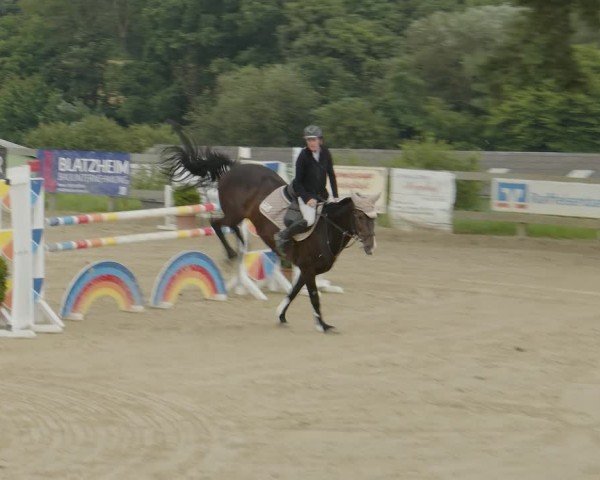 Reitturnier Kalenborn Hegehof 2024