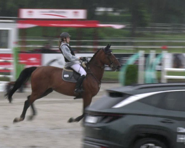 Reitturnier Langenfeld 2024