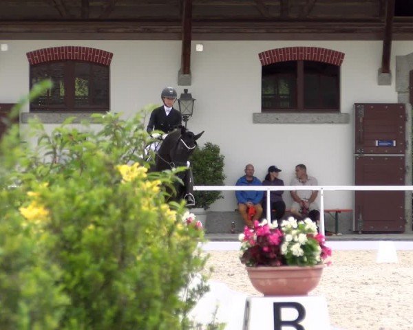 Reitturnier Avenches 2024