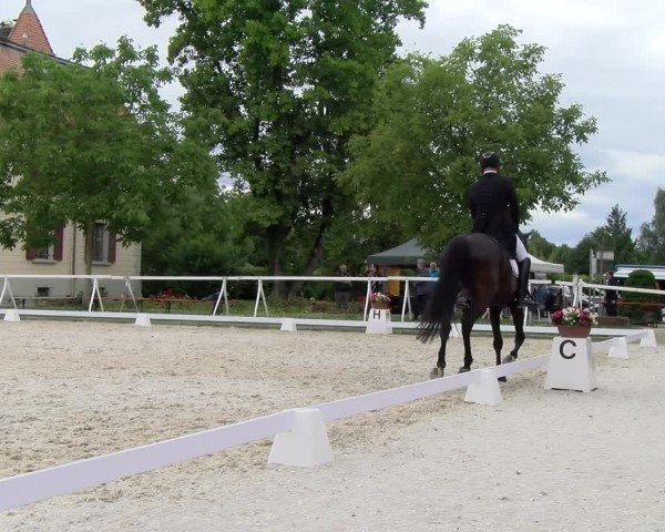 Reitturnier Avenches 2024