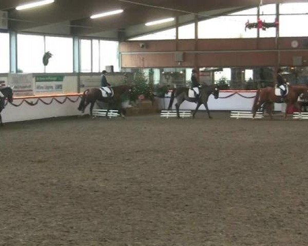 Hallen-Reit- und Springturnier des RV Suedlohn-Oeding für Ponys und Großpferde 2012