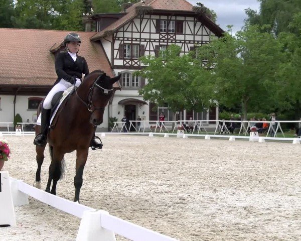 Reitturnier Avenches 2024