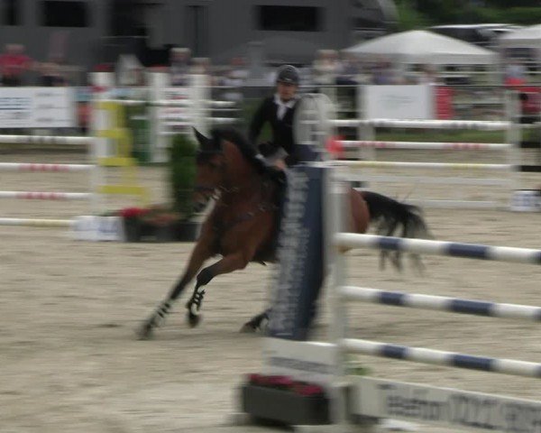 Reitturnier Langenfeld 2024