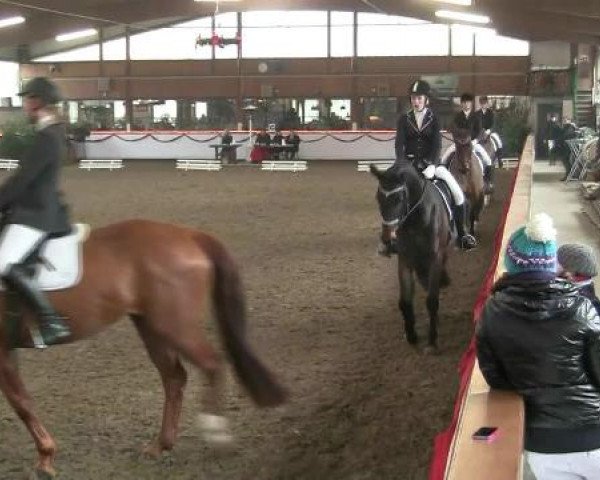 Hallen-Reit- und Springturnier des RV Suedlohn-Oeding für Ponys und Großpferde 2012