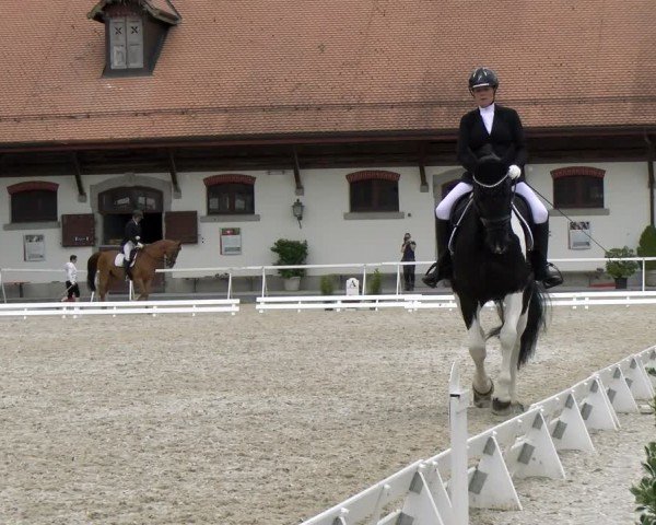Reitturnier Avenches 2024
