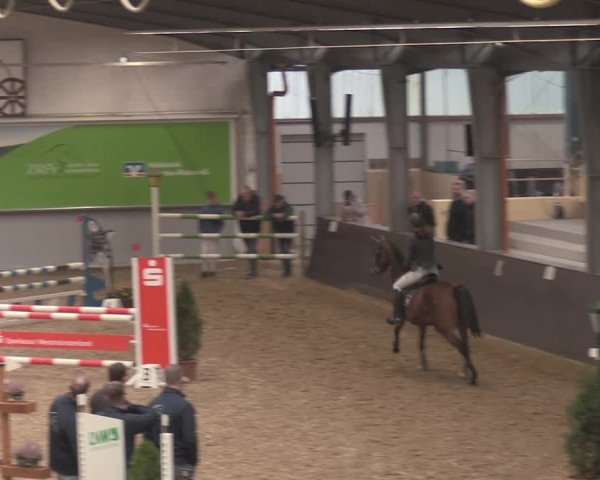Reitturnier Legden 2021