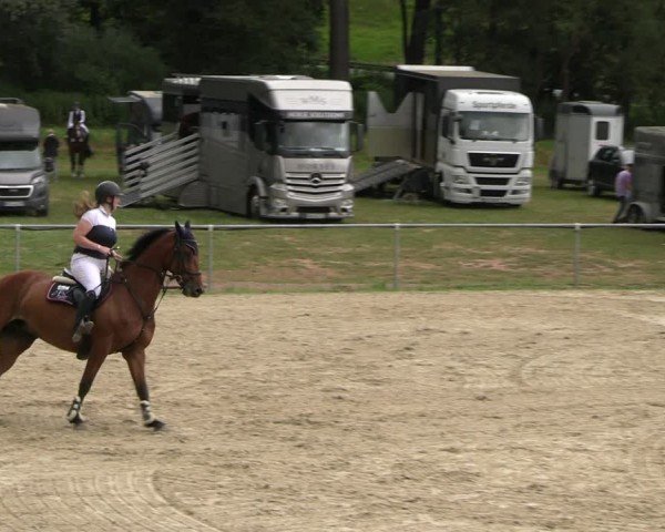 Reitturnier Bad Liebenstein/Sorga 2024