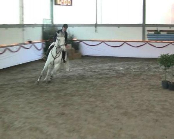 Hallen-Reit- und Springturnier des RV Suedlohn-Oeding für Ponys und Großpferde 2012