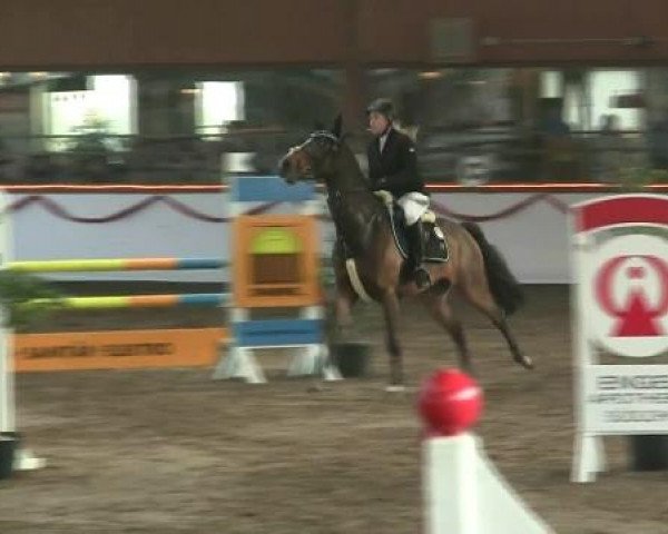 Hallen-Reit- und Springturnier des RV Suedlohn-Oeding für Ponys und Großpferde 2012