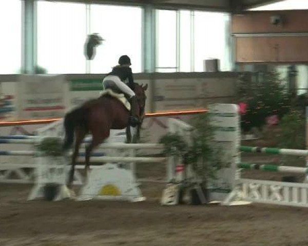 Hallen-Reit- und Springturnier des RV Suedlohn-Oeding für Ponys und Großpferde 2012