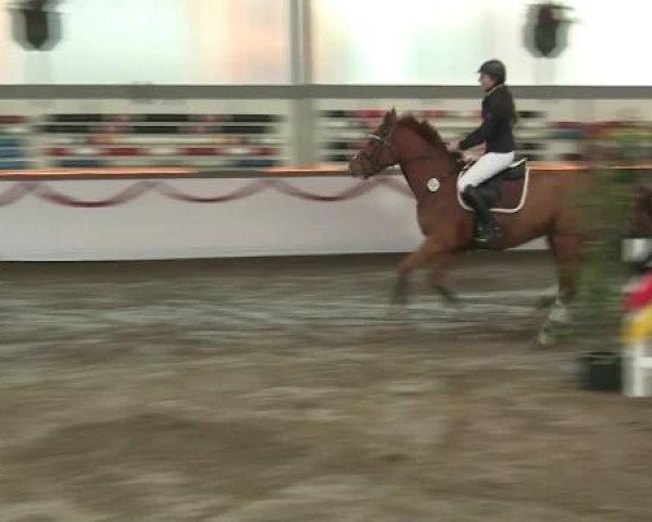 Hallen-Reit- und Springturnier des RV Suedlohn-Oeding für Ponys und Großpferde 2012