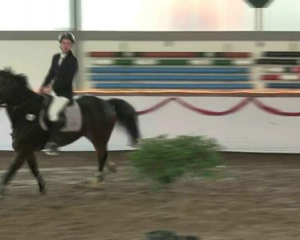 Hallen-Reit- und Springturnier des RV Suedlohn-Oeding für Ponys und Großpferde 2012
