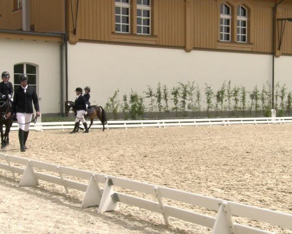 Reitturnier Avenches 2024
