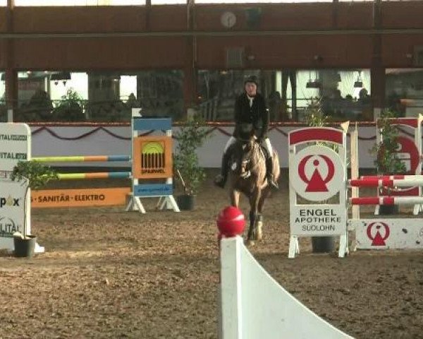 Hallen-Reit- und Springturnier des RV Suedlohn-Oeding für Ponys und Großpferde 2012
