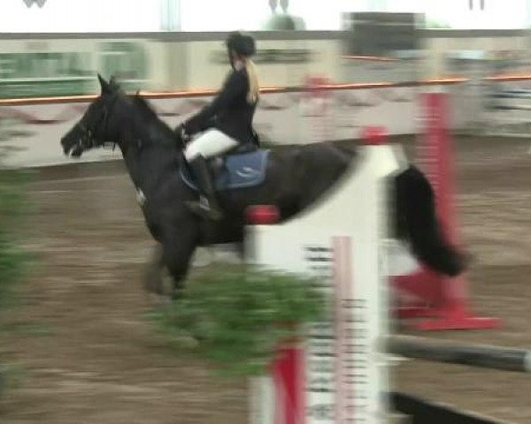 Hallen-Reit- und Springturnier des RV Suedlohn-Oeding für Ponys und Großpferde 2012