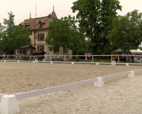 Reitturnier Avenches 2024