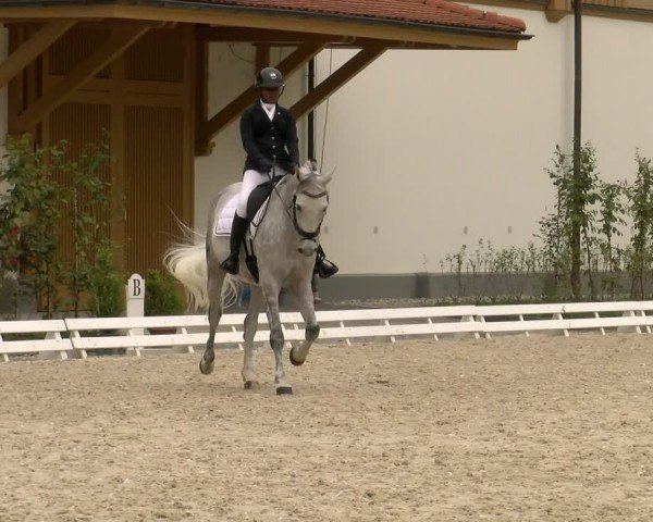Reitturnier Avenches 2024