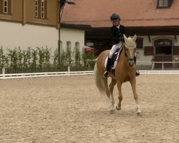 Reitturnier Avenches 2024