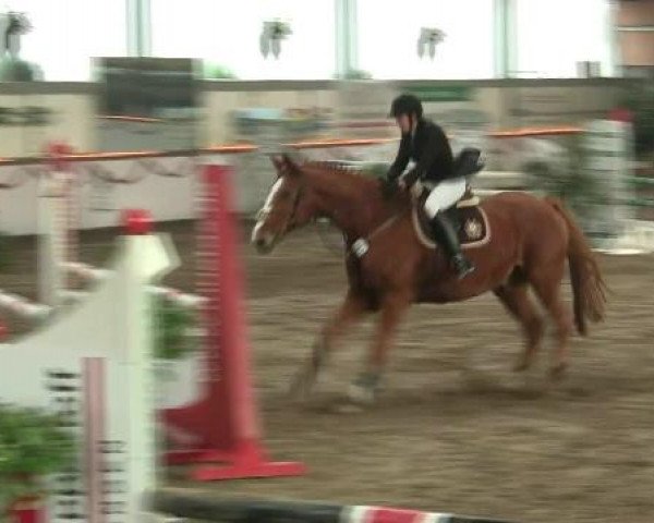 Hallen-Reit- und Springturnier des RV Suedlohn-Oeding für Ponys und Großpferde 2012
