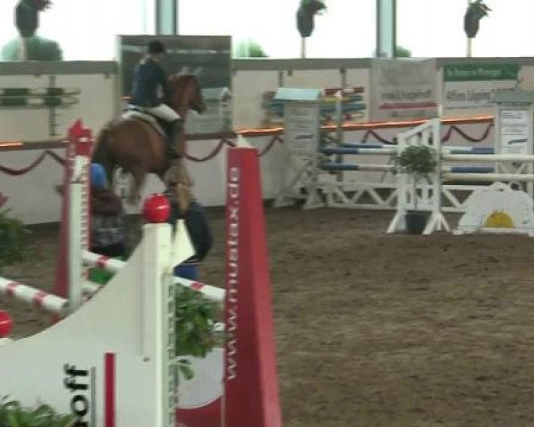 Hallen-Reit- und Springturnier des RV Suedlohn-Oeding für Ponys und Großpferde 2012