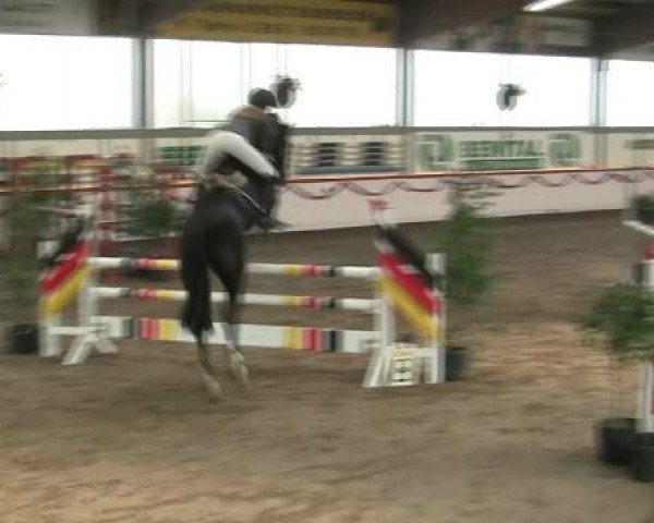 Hallen-Reit- und Springturnier des RV Suedlohn-Oeding für Ponys und Großpferde 2012
