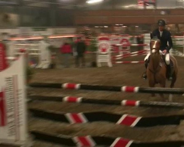 Hallen-Reit- und Springturnier des RV Suedlohn-Oeding für Ponys und Großpferde 2012